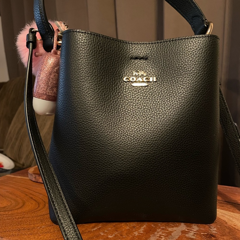 Coach Small Town Bucket Bag